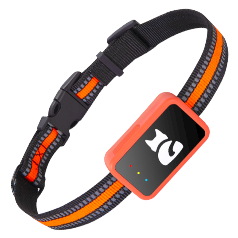 Traceur GPS Chien 4G avec Suivi en Temps Réel | Léger et Étanche pour Sécurité Maximale 0