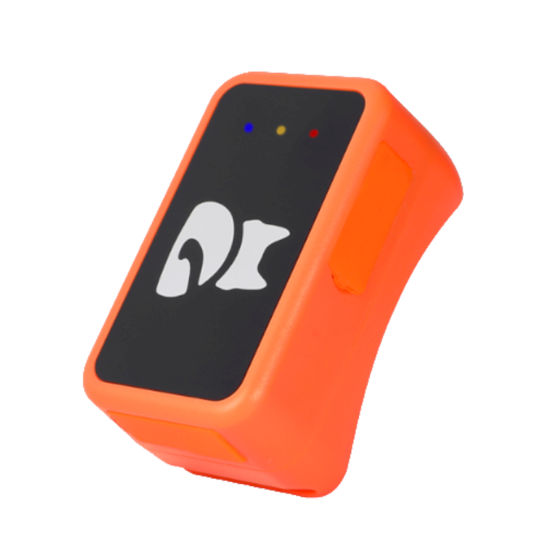 Traceur GPS Chien 4G avec Suivi en Temps Réel | Léger et Étanche pour Sécurité Maximale 6